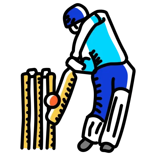 Cricket Pitch at Mahima Ecovista